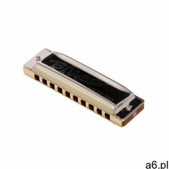 Seydel 11301D Blues Solist Pro D, harmonijka ustna - ogłoszenia A6.pl