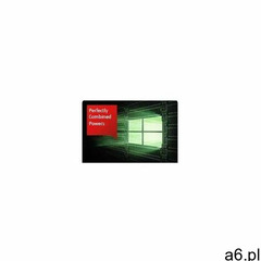 Fujitsu Microsoft Windows Server 2019 Essential - ogłoszenia A6.pl