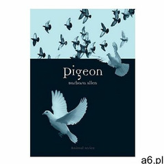 Pigeon (9781861895134) - ogłoszenia A6.pl