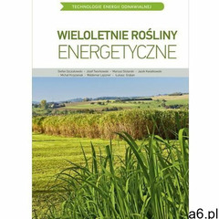 Wieloletnie rośliny energetyczne (2017) - ogłoszenia A6.pl
