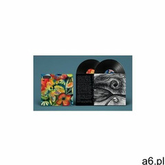 Adrianne Lenker - Songs And Instrumentals (0191400030213) - ogłoszenia A6.pl
