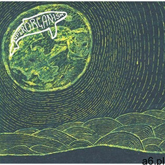 Sonic Superorganism (0887828041305) - ogłoszenia A6.pl