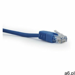 Gembird patchcord rj45,kat.5e,utp, 0,25m, niebieski (8716309074711) - ogłoszenia A6.pl