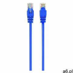 Kabel UTP kat 5e. 2m niebieski, PP12-2M/B - ogłoszenia A6.pl