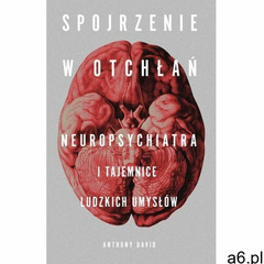 Spojrzenie w otchłań. Neuropsychiatra i tajemnice ludzkich umysłów - David Anthony - książka - ogłoszenia A6.pl