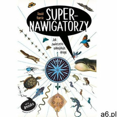 Supernawigatorzy - david barrie (9788323348771) - ogłoszenia A6.pl