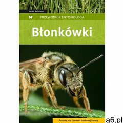 Błonkówki, Multico - ogłoszenia A6.pl