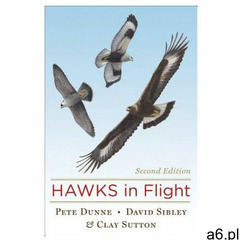 Hawks in Flight (9780395709597) - ogłoszenia A6.pl