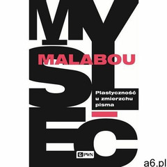 Plastyczność u zmierzchu pisma - Catherine Malabou, PWN - ogłoszenia A6.pl