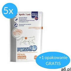 renal actiwet dla kota 5x100g + 100g gratis! (600g): waga - 6 x 100g dostawa 24h gratis od 99zł  - ogłoszenia A6.pl