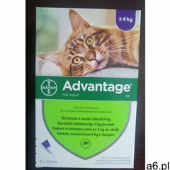 Bayer Advantage Roztwór do nakrapiania Koty powyżej 4 kg (4x0,8 ml) - ogłoszenia A6.pl