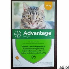advantage roztwór do nakrapiania koty poniżej 4 kg (4x0,4 ml) marki Bayer - ogłoszenia A6.pl