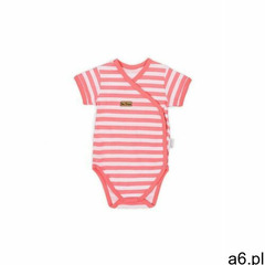 Body kopertowe z krótkim rękawem 6T40B6 - ogłoszenia A6.pl