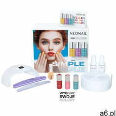 NEONAIL ZESTAW SIMPLE ONE STEP COLOR PROTEIN PRO STARTER SET (5903274099976) - ogłoszenia A6.pl