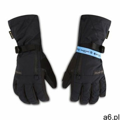 Rękawice narciarskie DAKINE - Titan Glove GORE-TEX 10003184 Black - ogłoszenia A6.pl