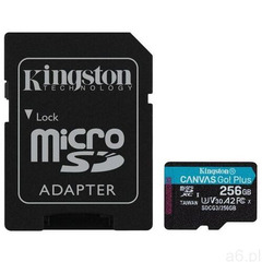Kingston microSD Canvas Go Plus 256GB 170/90MB/S U3 V30 (0740617301250) - ogłoszenia A6.pl