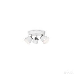 Philips dender plate/spiral white 3x4w 230v 53343/31/16 (8718696125472) - ogłoszenia A6.pl