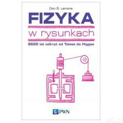Fizyka w rysunkach [Lemons Don. S.] (9788301200725) - ogłoszenia A6.pl