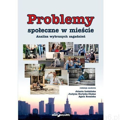 Problemy społeczne w mieście Analiza wybranych zagadnień - książka (9788381802321) - ogłoszenia A6.pl