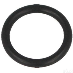 O-Ring 2.5*1.5 do pompki PCP Hatsan Hand Pump (45) - ogłoszenia A6.pl