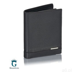 Duży portfel męski valentini perforated 13v-112 z rfid - ogłoszenia A6.pl
