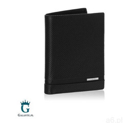 Duży portfel męski Samsonite 13A-266 RFID - ogłoszenia A6.pl