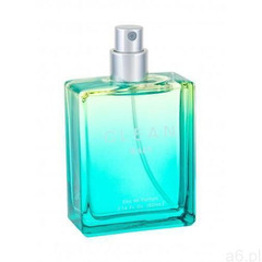 Clean classic rain woda perfumowana 60 ml tester dla kobiet - ogłoszenia A6.pl