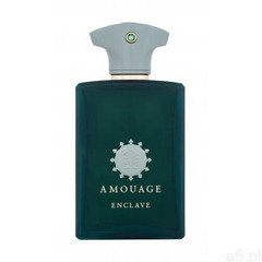 Amouage Enclave woda perfumowana 100 ml dla mężczyzn - ogłoszenia A6.pl