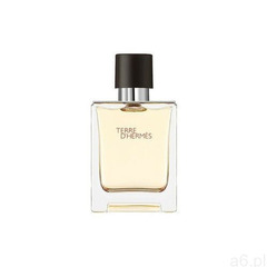 HERMÈS Terre d'Hermès Terre d'Hermès eau_de_toilette 50.0 ml (3346130009610) - ogłoszenia A6.pl