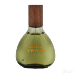 Antonio puig agua brava 100ml m woda kolońska (8411061401705) - ogłoszenia A6.pl