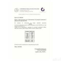 Susz konopny z CBD 11,4% White Widow 2g Cbweed 2g, critical - ogłoszenia A6.pl