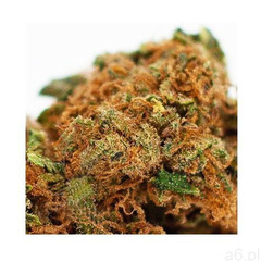 Susz konopny z CBD 10.4% Orange Skunk 2g Cbweed, 72_orangeskunk2g-2 - ogłoszenia A6.pl