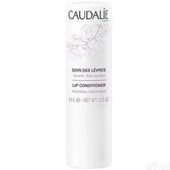 lip conditioner | pomadka do ust 4,5g marki Caudalie - ogłoszenia A6.pl