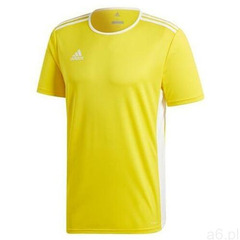 Adidas koszulka męska t-shirt entrada 18 cd8390 - ogłoszenia A6.pl