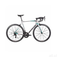 Rower szosowy 8avio revolution m19 28 cali męski szaro-zielony marki Bottecchia - ogłoszenia A6.pl