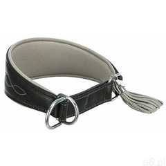Trixie Active Comfort Obroża dla chartów, czarna/szara - Rozmiar XS: obwód szyi 21-26 cm, szer. 40 m - ogłoszenia A6.pl