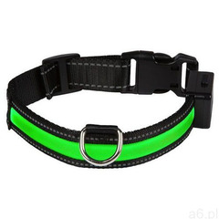 Eyenimal obroża led dla psa, zielona - s: obwód szyi: 40 - 45 cm| darmowa dostawa od 99 zł + pro - ogłoszenia A6.pl