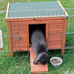 Trixie natura domek dla gryzoni - dł. x szer. x wys.: 50 x 60 x 47 cm | dostawa gratis (401190562392 - ogłoszenia A6.pl