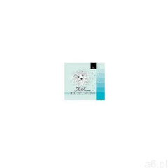 Szkicownik (4823089215105) - ogłoszenia A6.pl