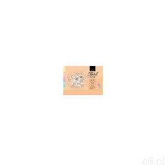 Szkicownik (4823089214795) - ogłoszenia A6.pl