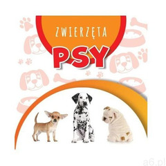 Wstęgi kartonowe. psy, MD - ogłoszenia A6.pl