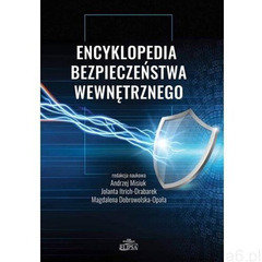 Encyklopedia bezpieczeństwa wewnętrznego - Andrzej Misiuk, Jolanta Itrich-Drabarek, Magdalen - książ - ogłoszenia A6.pl