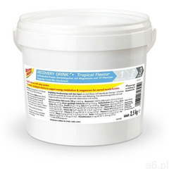 Dextro Energy Napój regeneracyjny - opakowanie 2,5kg, Tropical 2021 Suplementy fitness - ogłoszenia A6.pl