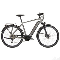 Giant AnyTour E+ 2 GTS, szary M | 50cm (28") 2021 Rowery elektryczne (4712878667976) - ogłoszenia A6.pl