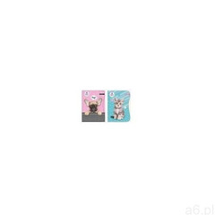 Teczka a4 z gumką the sweet pets kids (5901276094838) - ogłoszenia A6.pl