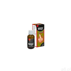 Men Power Ginseng Drops 30ml - ogłoszenia A6.pl