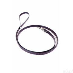 Fetish Boss Series Leash Red Line, Fetish Boss Series (5903661804244) - ogłoszenia A6.pl