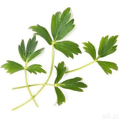 Veritable Wkład nasienny lingot zioła nietypowe lubczyk (3760262511719) - ogłoszenia A6.pl