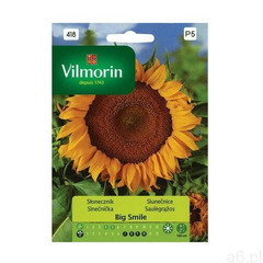 Słonecznik BIG SMILE nasiona tradycyjne 0.5 g VILMORIN (5907617320161) - ogłoszenia A6.pl