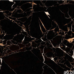 Netto plus Golden chianti high glossy 60x60 gat i - ogłoszenia A6.pl